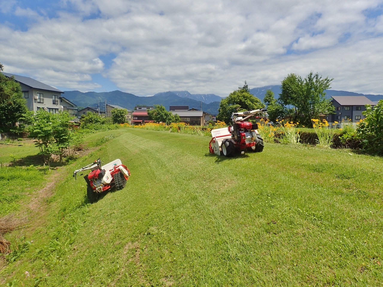 草刈りは趣味かな!_c0336902_19433921.jpg