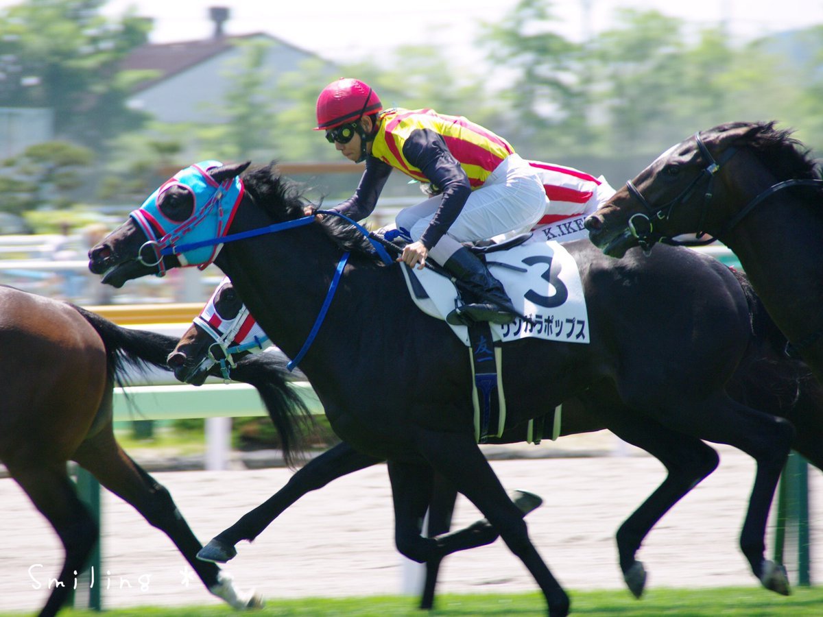 走るサラブレッドなど 函館競馬場に行って来ました Smiling Photo Handmade 2 動物のあみぐるみ レジンアクセサリー 風景写真のポストカード