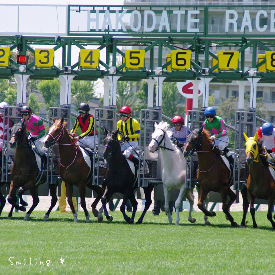 走るサラブレッドなど♪函館競馬場に行って来ました♪_f0340004_12441001.jpg