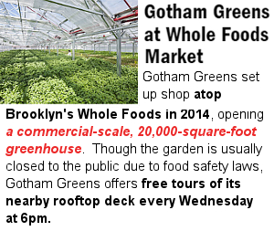 米国史上初の商業用屋上グリーンハウス『ゴッサム・グリーン』Gotham Greens at Whole Foods Market_b0007805_740298.jpg