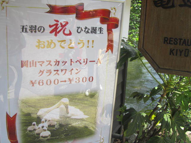 a0100706_22362910.jpg