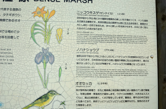 c0336907_21380850.jpg