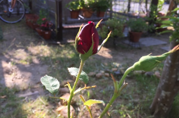 f0371907_18485145.jpeg