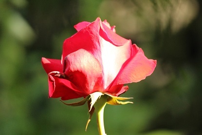 f0325309_06440934.jpg