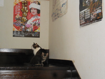 6月19日 月曜 はれ 22度_f0210811_13013108.jpg