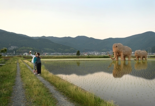 気になる存在_c0168815_01050845.jpg