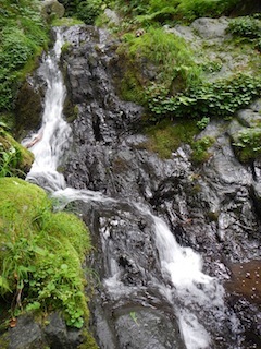 突き上げる険谷…蕎麦粒山・早谷_c0359615_21430003.jpg