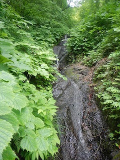 突き上げる険谷…蕎麦粒山・早谷_c0359615_21462093.jpg