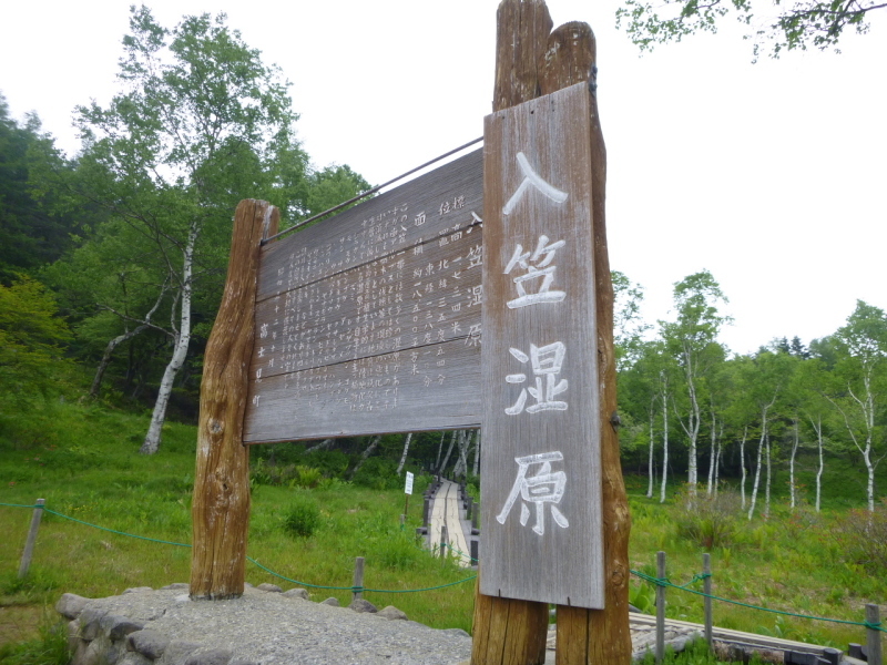 今日のお気に入り写真　花の入笠山 (1,955.1M) に登る_d0170615_10322420.jpg