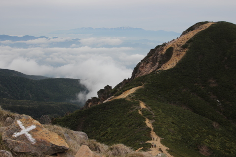 八ヶ岳（硫黄岳～天狗岳）～白駒池縦走_a0309917_15064684.jpg