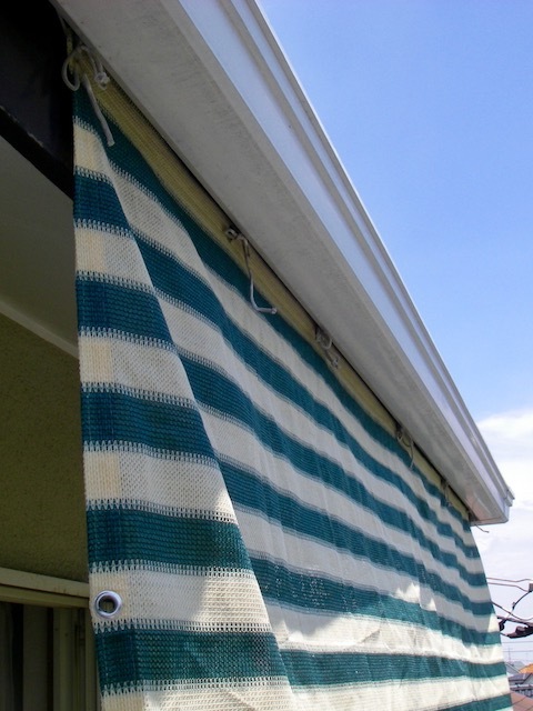 b0113219_17342465.jpg