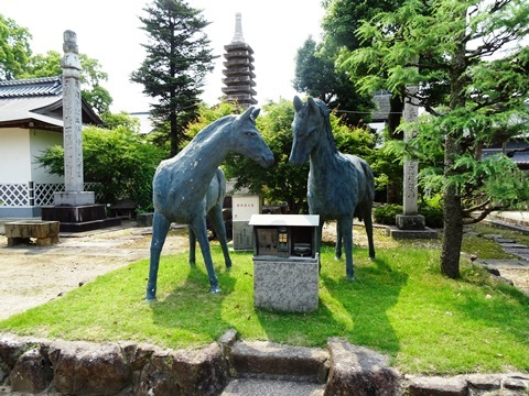 第70番本山寺五重塔組立現場見学会_f0213825_15351753.jpg