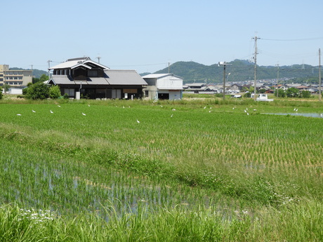 f0113136_02522.jpg