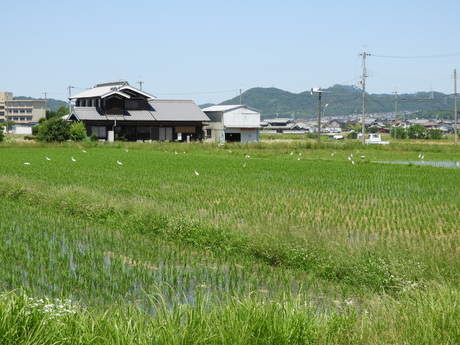 たぶん今年最高の感激_f0113136_02522.jpg