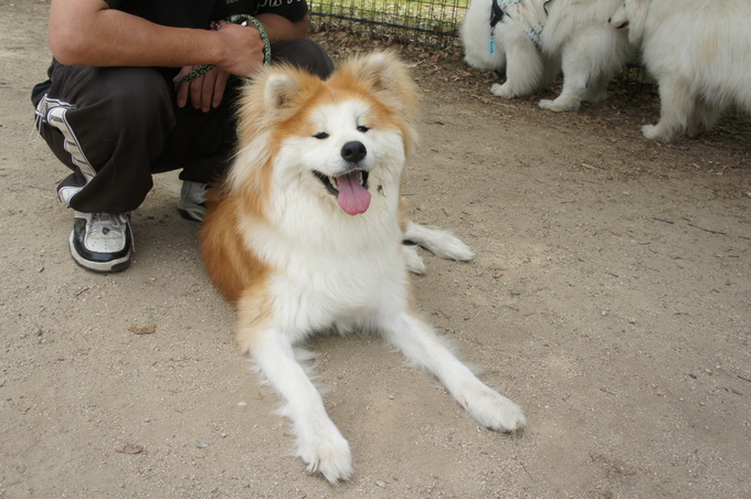 f0128542_2171682.jpg