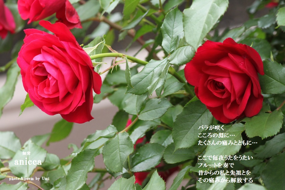f0351844_06380751.jpg