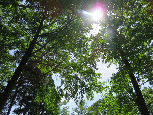 b0238249_22342546.jpg