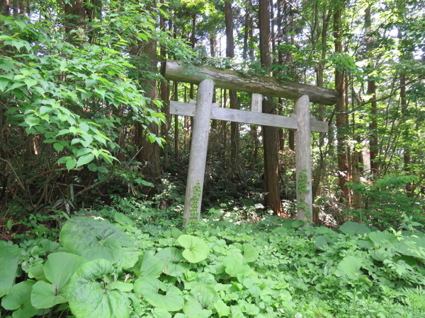 b0238249_22445131.jpg