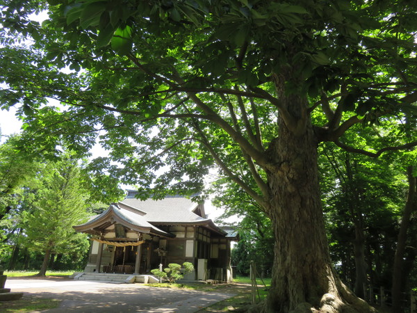b0238249_22544077.jpg