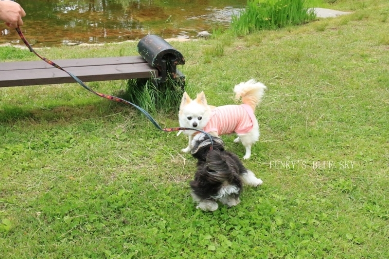 c0145250_09264336.jpg
