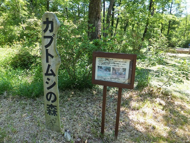 百笑会３７名で　新緑の三重県上野森林公園を歩きました。_d0048350_16532526.jpg