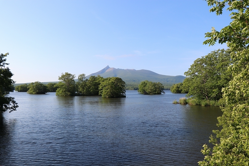 6月17日　大沼公園　島巡りコース　４_b0250154_05430984.jpg