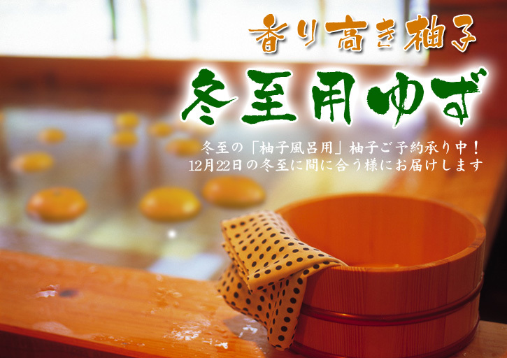 熊本県産!香り高き柚子 花から着果へ(2024) 今年は極端に花が少なく収量は間違いなく減少します(後編)_a0254656_19243301.jpg