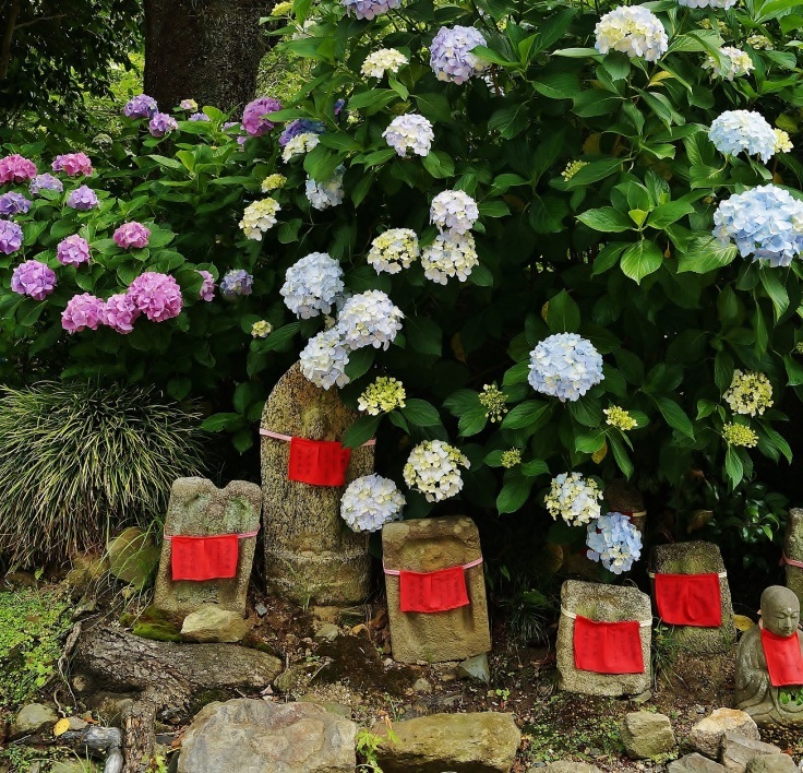 お地蔵さんとあじさいのお寺「矢田寺」_b0063958_20592909.jpg