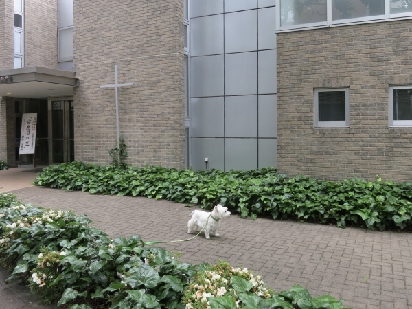 f0363961_05182372.jpeg