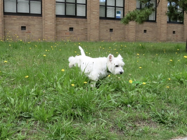f0363961_05190925.jpeg