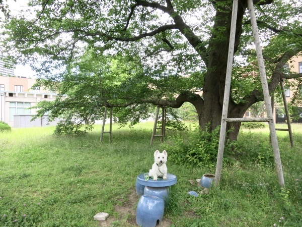 f0363961_05193388.jpeg