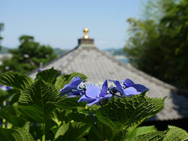 f0199866_20155309.jpg