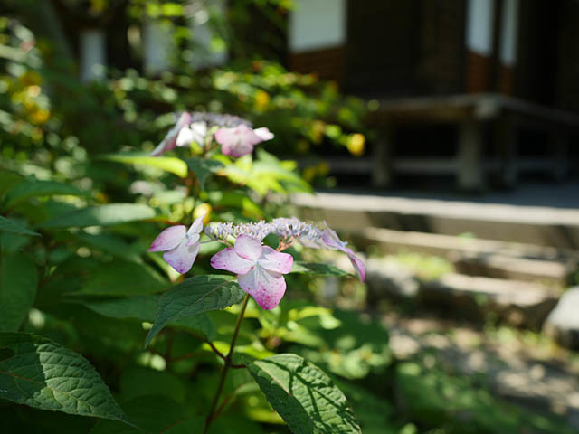 f0199866_20173493.jpg