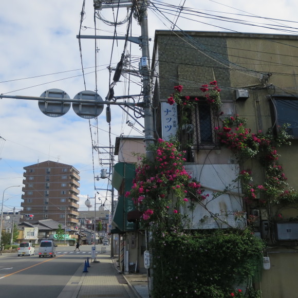 アンリカルティエブレッソン展に行くのにわざわざ遠くの駅から歩いたよという記事 2_c0001670_20531942.jpg