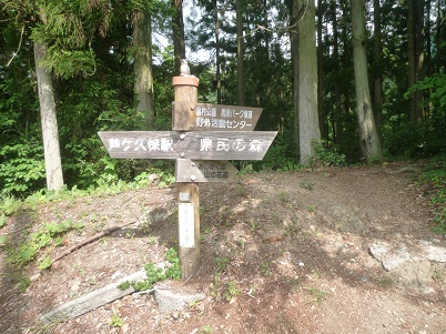 c0273271_14544769.jpg