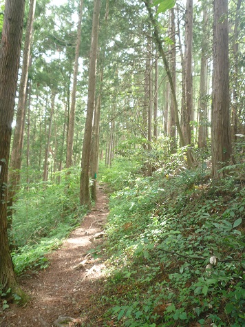 c0273271_14561048.jpg
