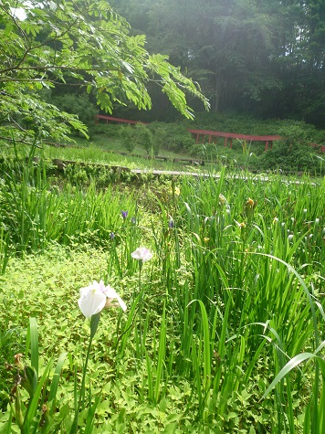 c0273271_14581153.jpg