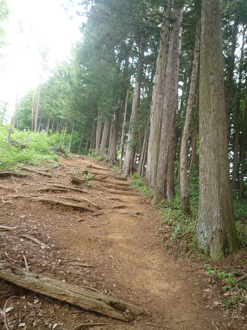 c0273271_16211141.jpg