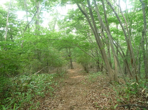 c0273271_16272819.jpg