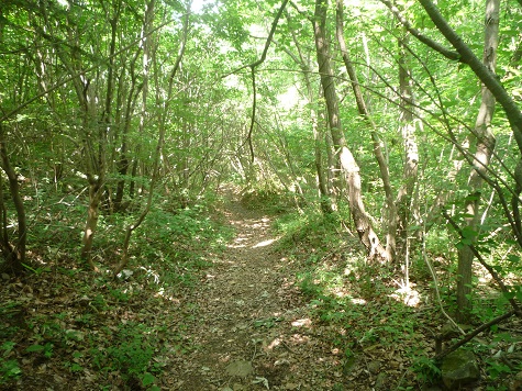 c0273271_16302418.jpg