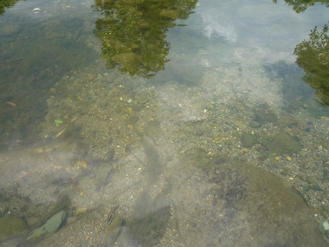 c0273271_1645571.jpg