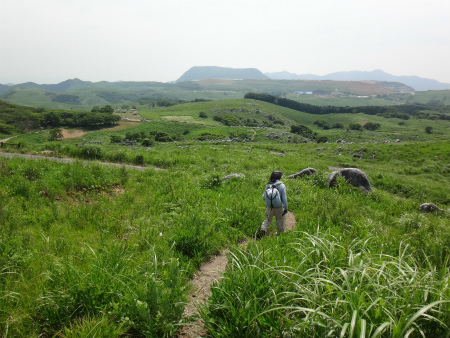 久々の平尾台（北九州市小倉南区）_d0182075_05004276.jpg