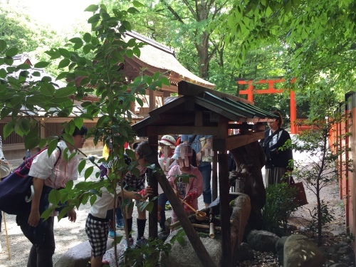 かも川あるき_e0008880_19040082.jpg