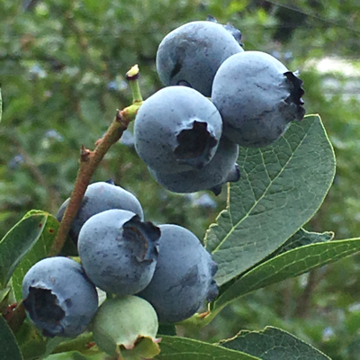 e0227680_20002611.jpg