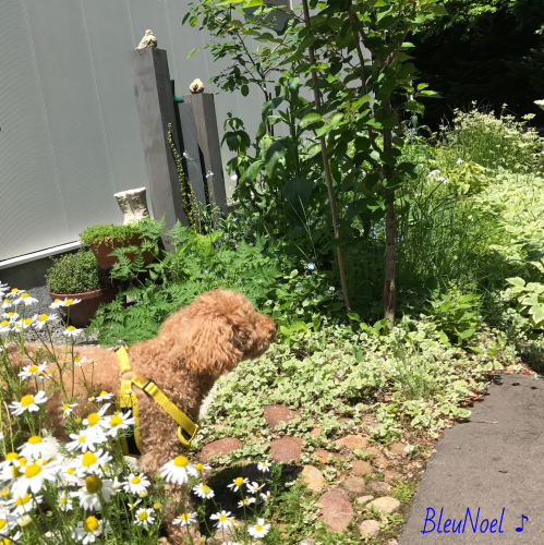 d0343781_10485945.jpeg