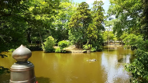 e0020682_16344946.jpg