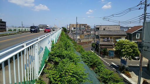 e0020682_16531068.jpg