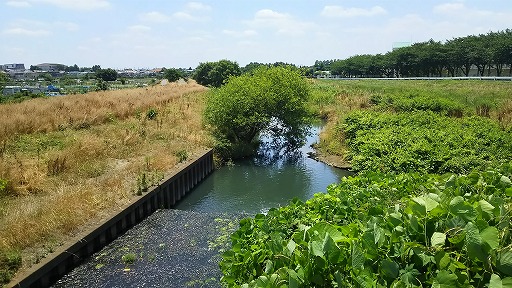 e0020682_1658689.jpg