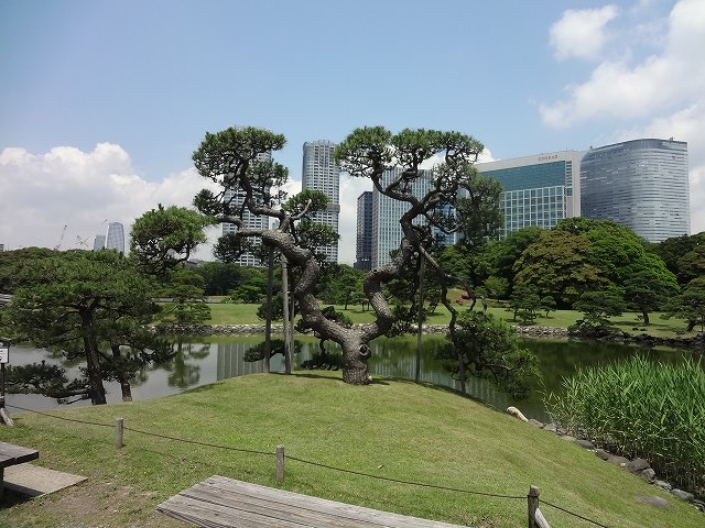 浜離宮恩師公園・築地・佃島の散策_f0017185_9484928.jpg