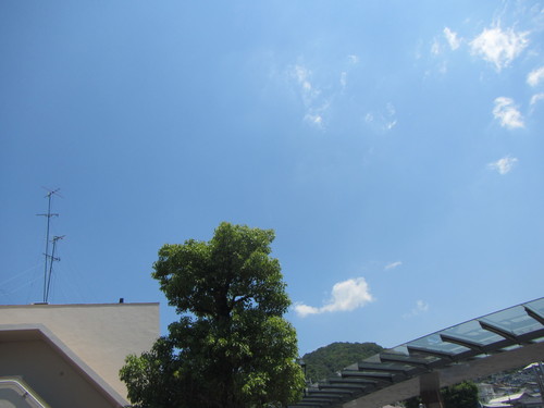 a0251786_20242515.jpg